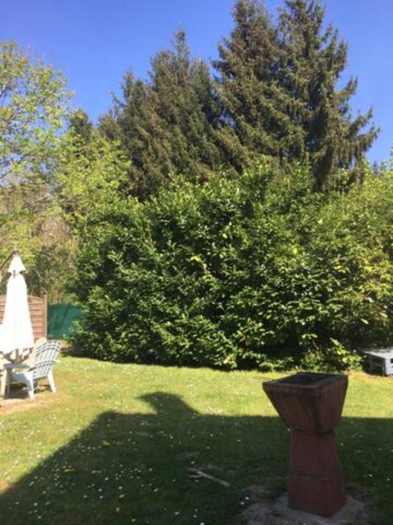 Gite Cosy Proche Fontainebleau Et Foret Noisy-sur-Ecole Zewnętrze zdjęcie