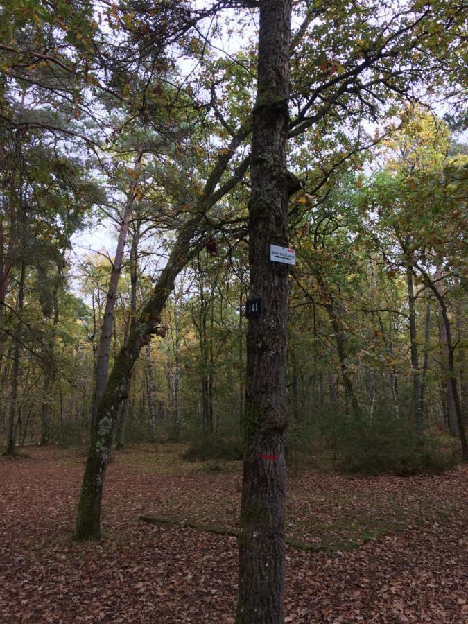 Gite Cosy Proche Fontainebleau Et Foret Noisy-sur-Ecole Zewnętrze zdjęcie